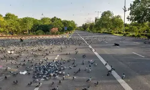 As People Stay Home, Air Pollution In North India At 20-Year Low: NASA