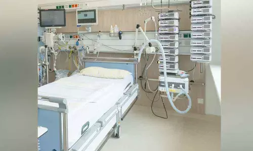 Most patients put on ventilators in New York died