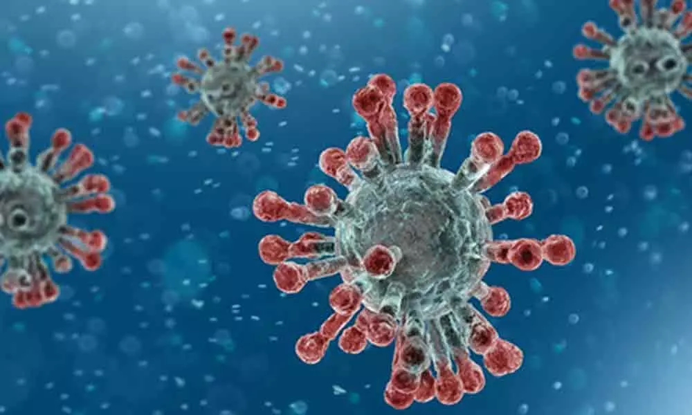 Coronavirus may not be sexually transmitted