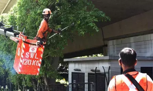 Singapore seals more dormitories as coronavirus cases among foreign workers spike; cases cross 12,000