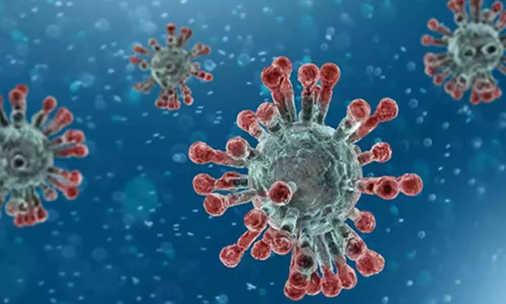 Coronavirus: 27 positives registered in Kurnool, total counts to 261