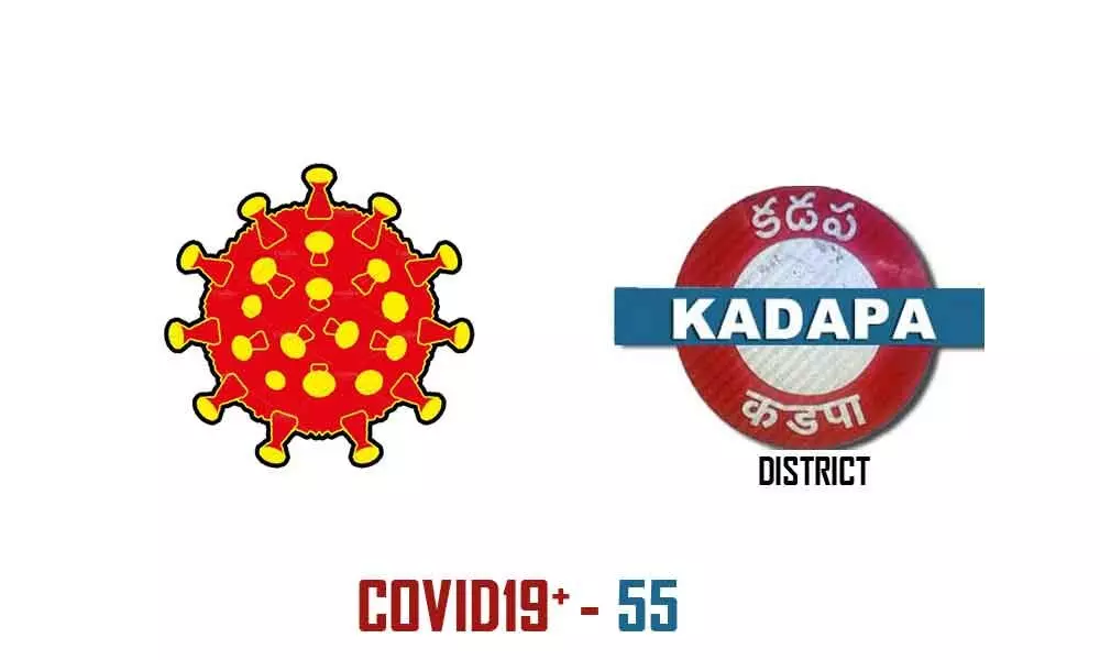 YSR Kadapa district recorded 55 COVID19 positive cases
