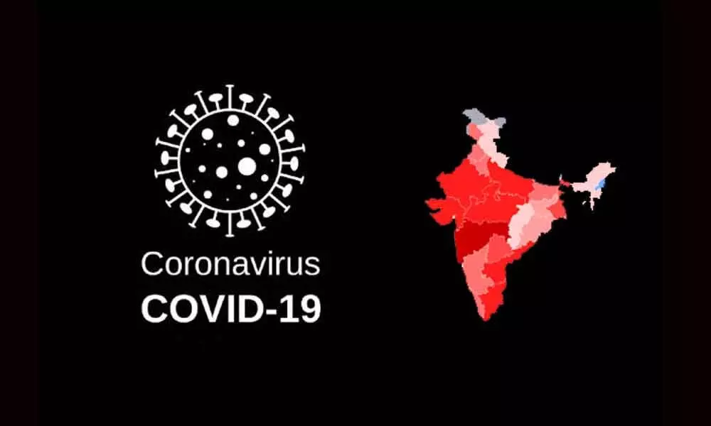 Covid-19 death toll rises to 779