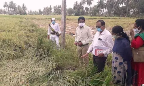 Kakinada: 271 PPCs opened in EG said Joint Collector G Lakshmisha