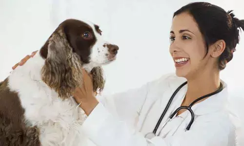 World Veterinary Day