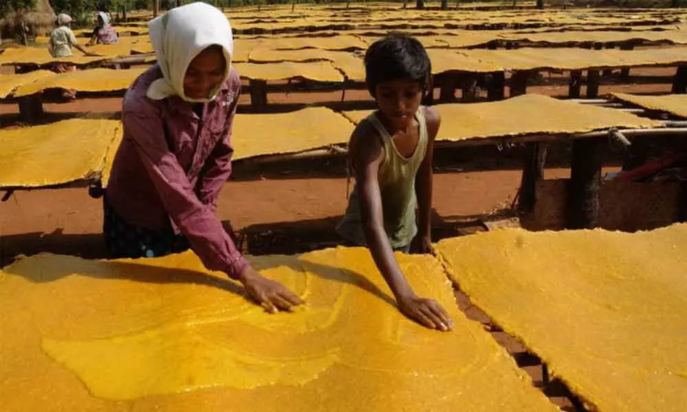 Mango jelly makers in quandary in Vizianagaram district