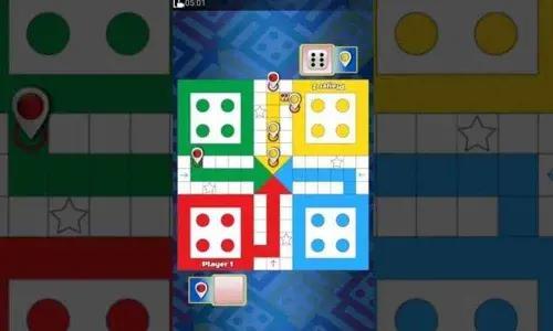 Man breaks wifes spine for defeating him in ludo game during lockdown in Vadodara