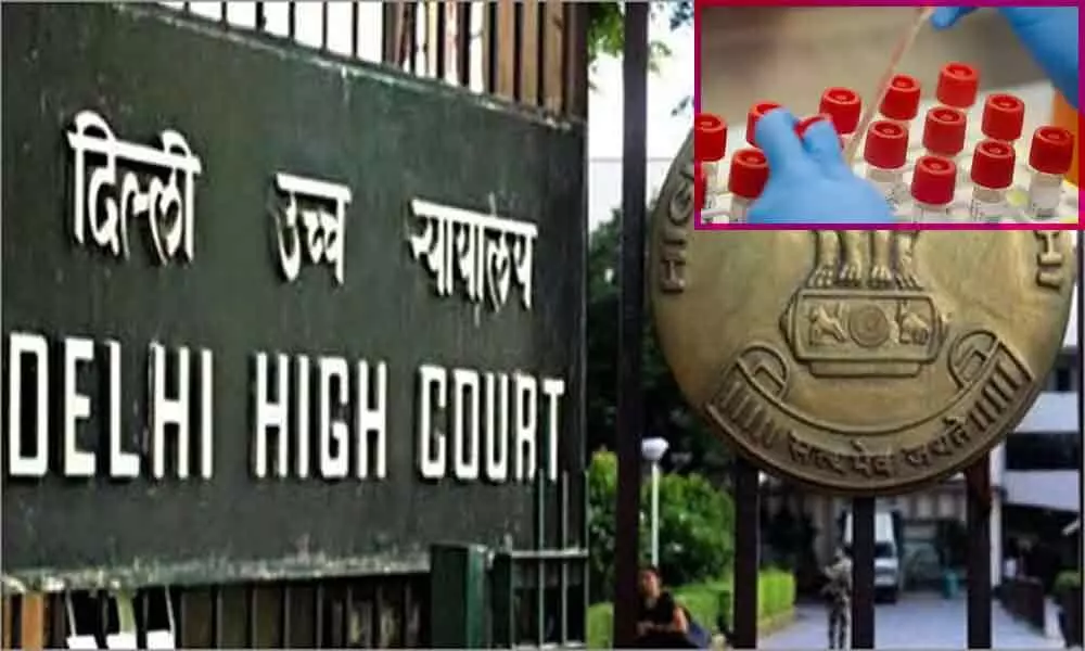 COVID-19: Delhi High Court fixes rapid test kit price at Rs 400