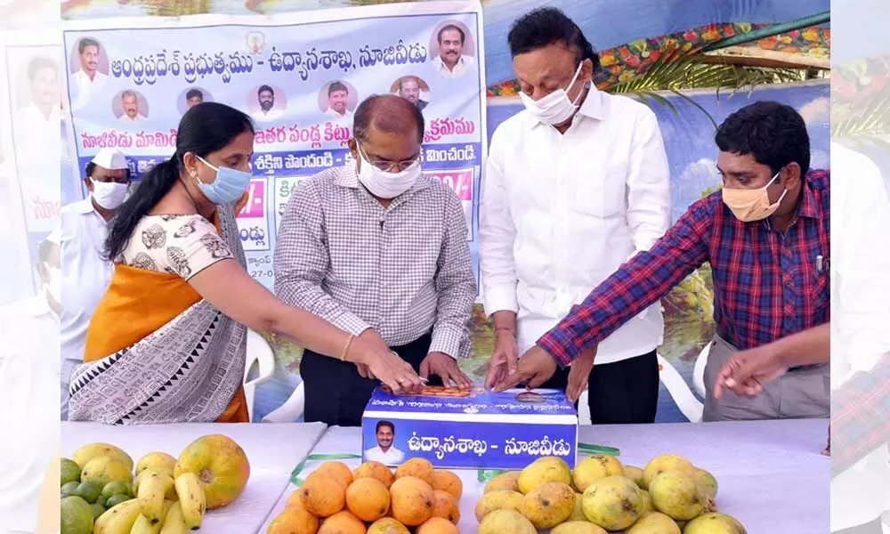 Vijayawada: 5 kg mangoes at 250, five varieties of fruit at 100