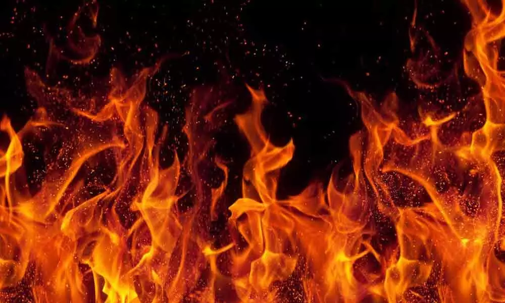 Fire at adhesive factory in Greater Noida; none hurt