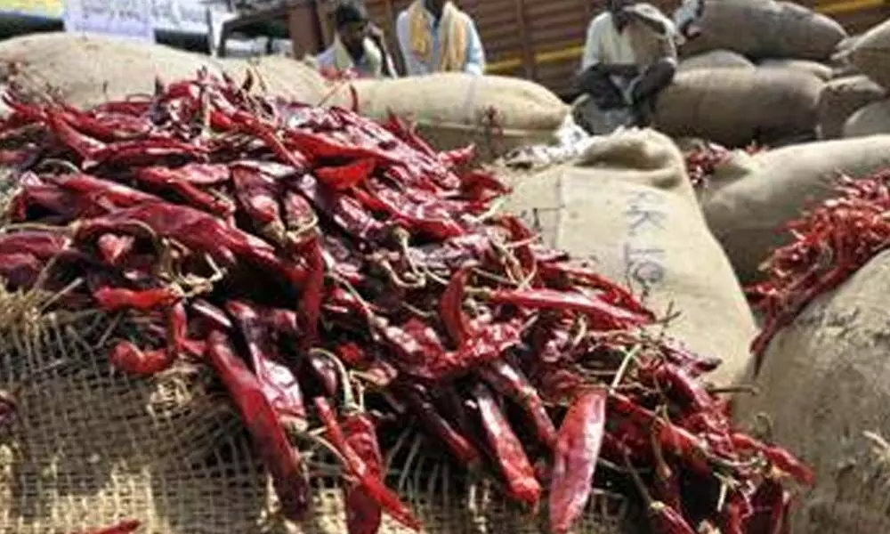 Hyderabad: Truck driver loots chilli traders money