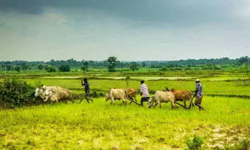 Anantapur: Praja Vedika demand crop loan waiver