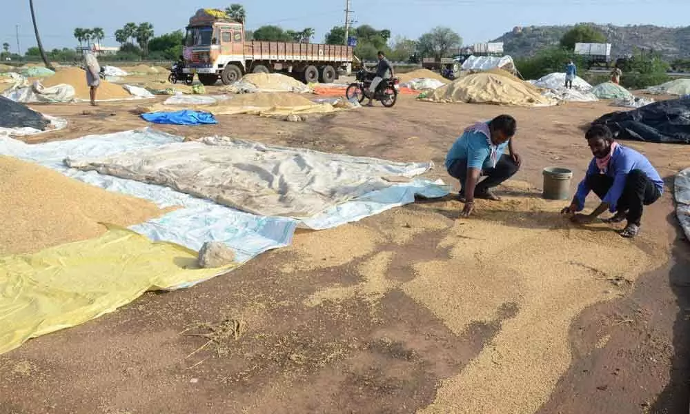 Unseasonal rains spell doom for farmers in Telangana