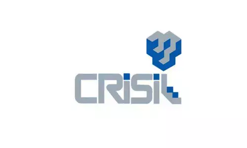 India Inc. staring at 10 pc revenue decline, 15 pc profits erosion in FY 21: CRISIL