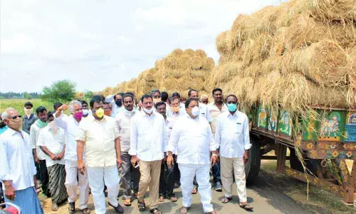 Khammam: MLA Sandra Venkata Veeraiah distributed Fodder worth 10 lakh  to goshalas