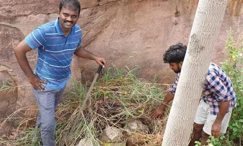 Brewing of ID liquor rampant in Kadapa district