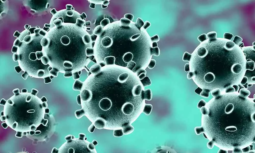 Coronavirus: With 386 positive cases, Kurnool district tops in State