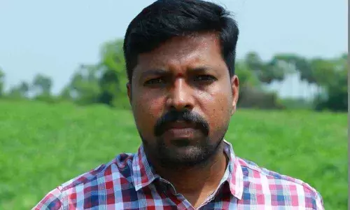 Mango production less than previous year in Nalgonda district