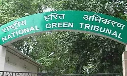 Kakinada: Panel to probe mangrove destruction