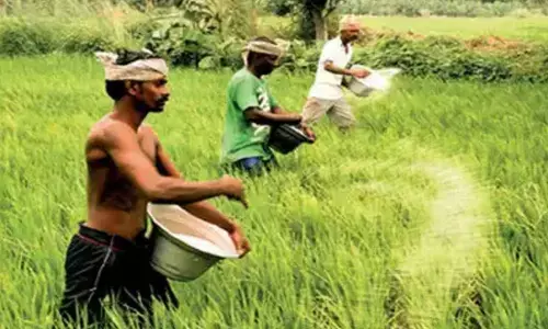 Rain, gale wreak havoc in Vikarabad