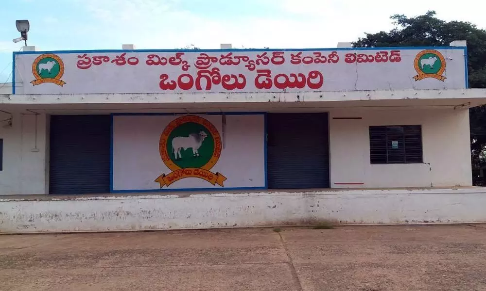 Convert Ongole Dairy into coop society