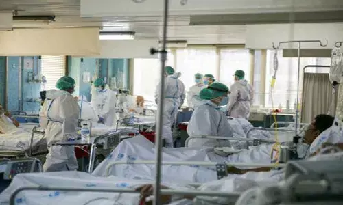 Biggest 24-hour spike in deaths, cases