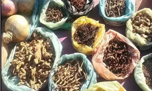 Government asks states to speed up procurement of MFP to support Tribals in COVID-19 situation