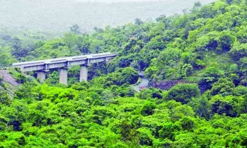 Nagarkurnool: Mistaken as UCI officer, UVPS stops forest official