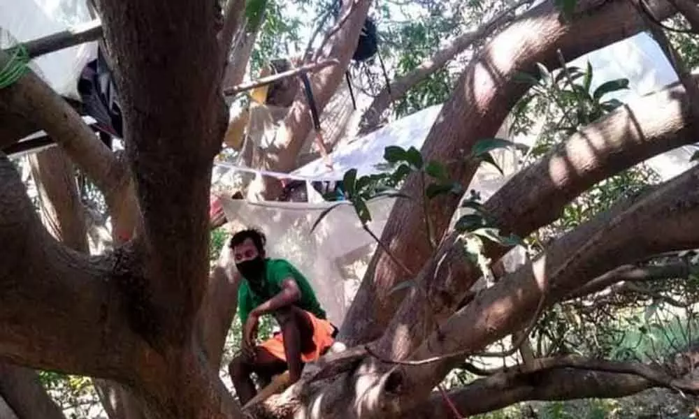 Migrant worker quarantines self on a tree for 14 days