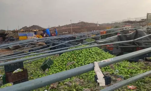 Hyderabad: Natures fury, government apathy wreak havoc on farmers