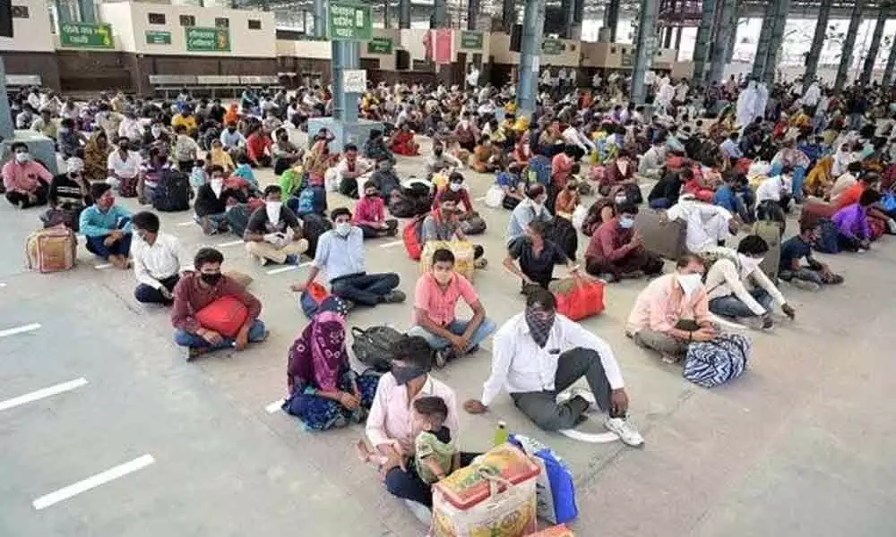 Migrants not dogs: Sena slams inhuman UP