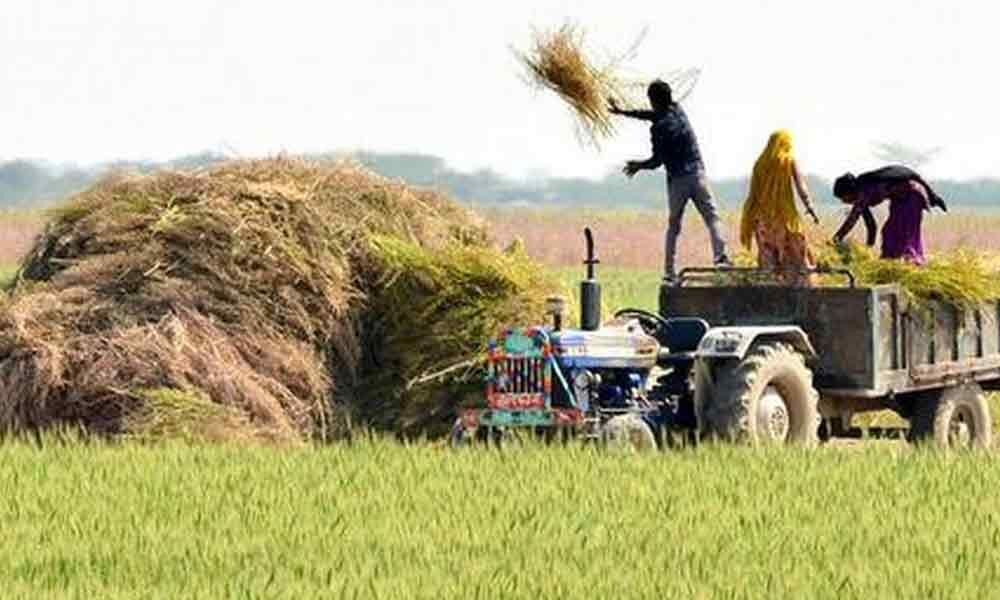 My tryst with agriculture management