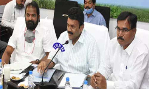 Telangana govt. to provide 5 lakh tons of maize to poultry sector
