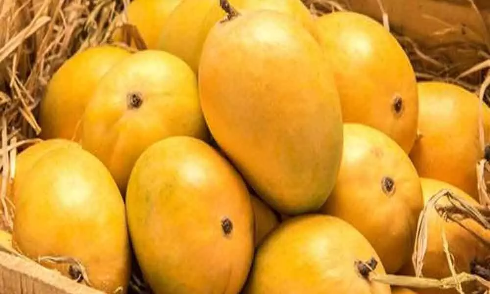 Postal services deliver mangoes at doorstep in Hyderabad