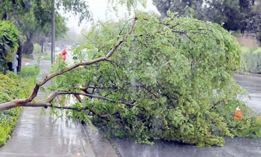 2 persons injured as heavy rains lash Vikarabad district