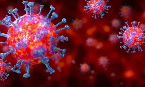 Just one active case remains in Warangal