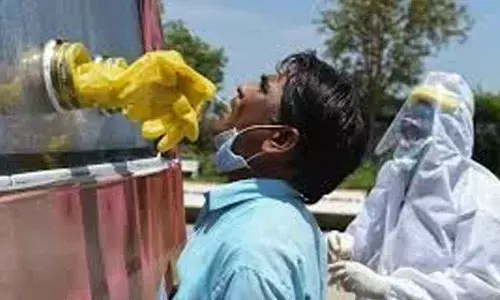 Gujarat Cadila plant shut after 2 dozen test positive