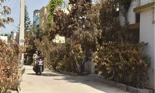 Vizag comes to grips the day after Vizag comes to grips the day after