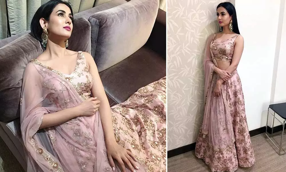 Shelina.IN - SHELIAN.IN http://www.shelina.in/index.php/sonal-chauhan -rose-pink-lehenga-pant-kameez-suit.html SHELINA.IN has come up with an an  Exclusive with #SONAL CHAUHAN #festive Collection . Grab this stunning  #rose pink and Party Wear Anarkali ...