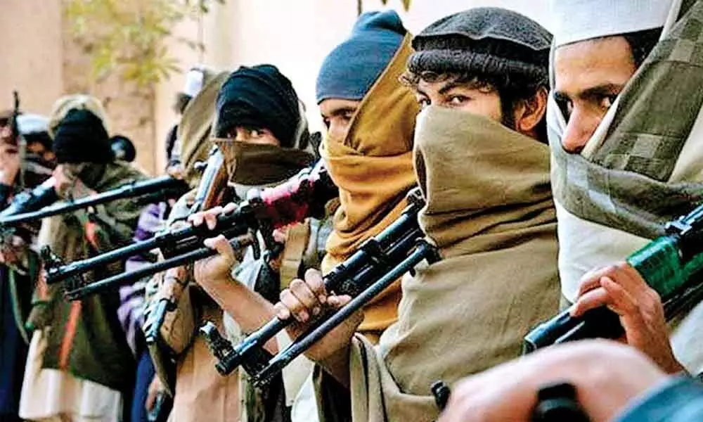 Hizbul Mujahideens Punjab terror-funding module busted