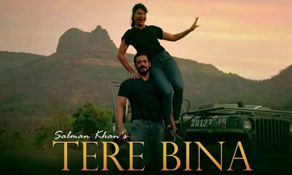 Salman Khans Tere Bina Song Teaser Is Out