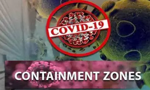 Nellore: Containment zones declared in Sullurpet