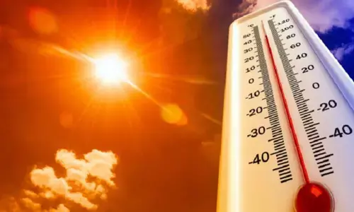 Coronavirus wont vanish in summer: Virologist