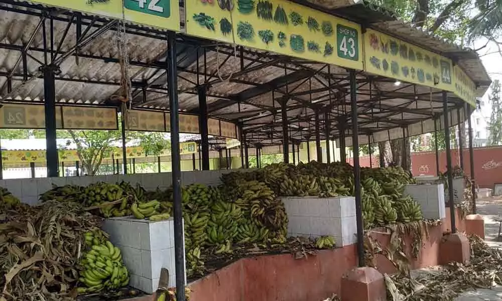 No demand for banana, mosambi fruits in Chittoor Rythu Bazaar