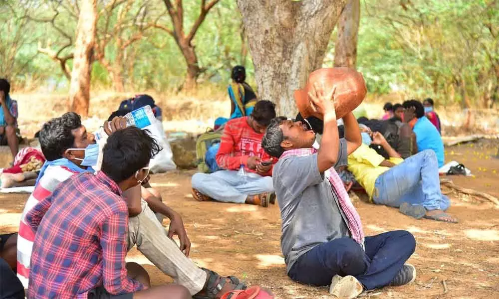 Odisha workers living under trees for 15 days
