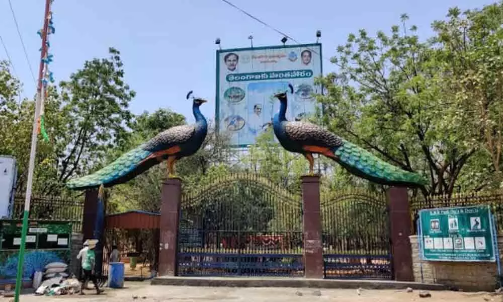 Hyderabad: Giant Peacocks soon to be installed at KBR Park to greet visitors