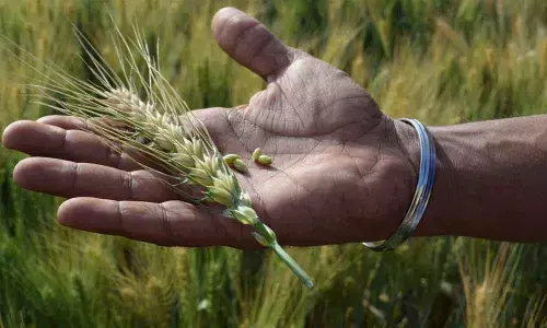 My tryst with agriculture management