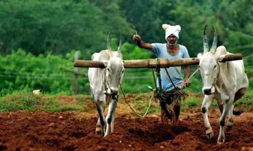 Come out with sops, loan to farmers