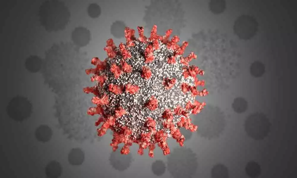 What you need to know about the coronavirus right now