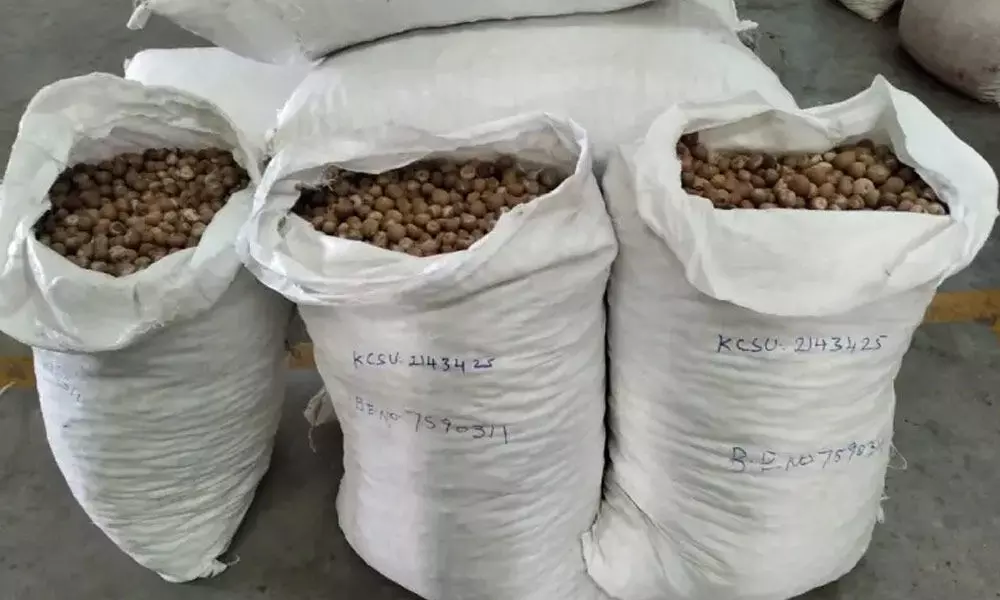 Hyderabad DRI officials seize illegal areca nuts